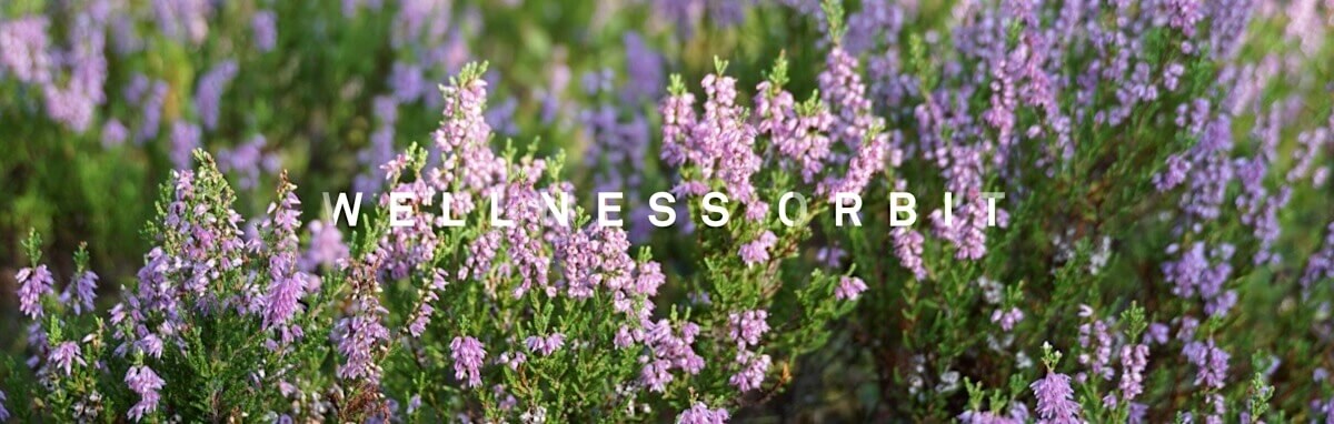 Slowly observing and noticing tiny details and the serene beauty of nature allows you to become more present.