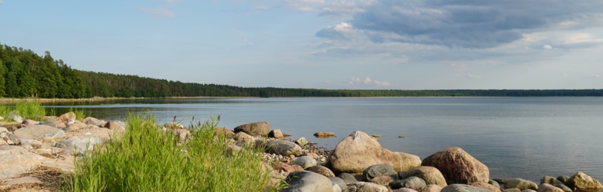 Being immersed in the calmness of natural surroundings brings you present and reduces your stress level.