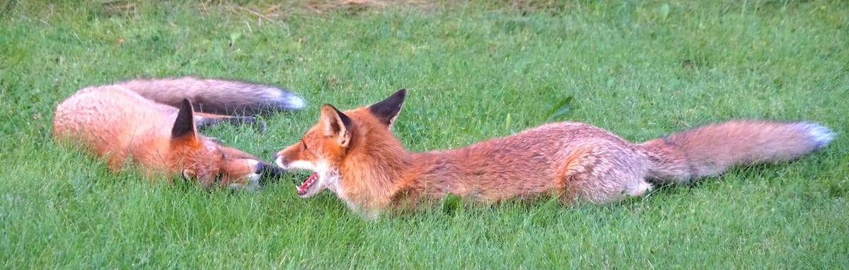 The ability to relax strengthens focus and allows you to deliver your best results. The ability to relax strengthens focus and allows you to deliver your best results.