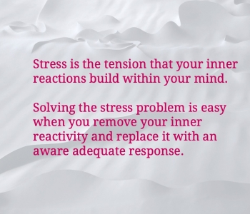 Navigating Stress: The Importance of Self-Initiative in Becoming A Calm Person