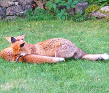 How to Experience True Self and Find the Joy Of Life?