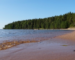 Why Fastness is the Problem for Your Mental Health