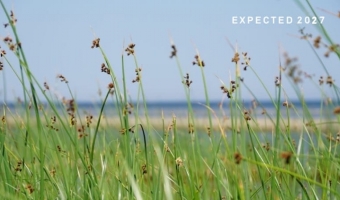 MOVING BEYOND DEPRESSION <i>Expected release: 2027</i>